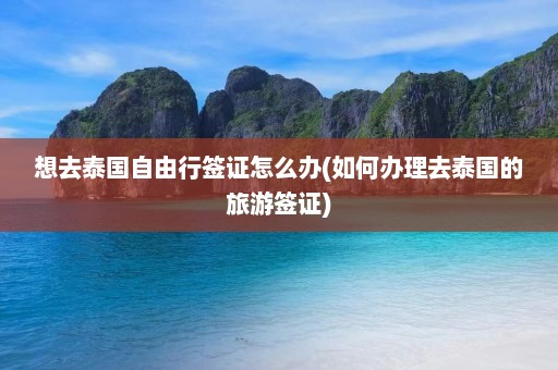 想去泰国自由行签证怎么办(如何办理去泰国的旅游签证)