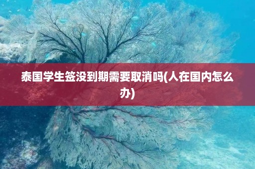 泰国学生签没到期需要取消吗(人在国内怎么办)