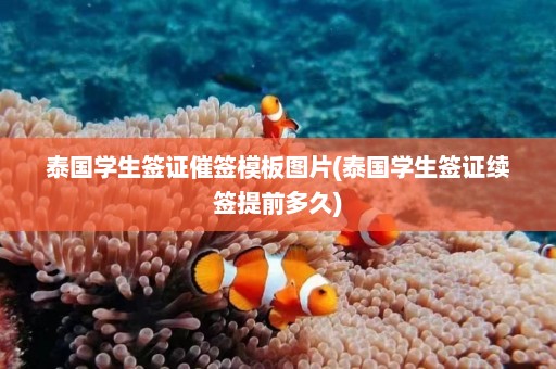 泰国学生签证催签模板图片(泰国学生签证续签提前多久)