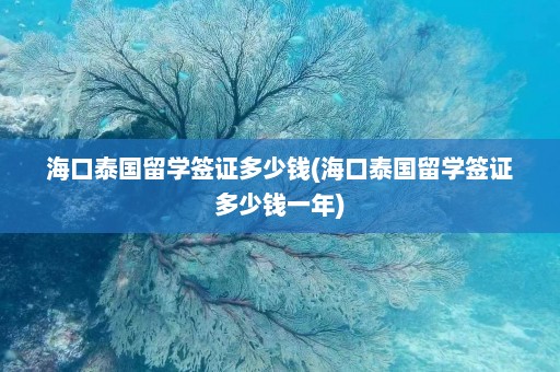 海口泰国留学签证多少钱(海口泰国留学签证多少钱一年)