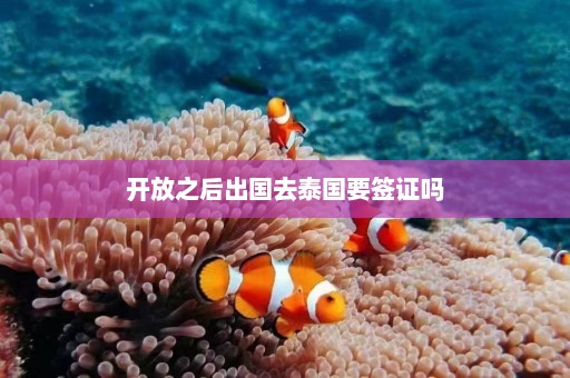 开放之后出国去泰国要签证吗