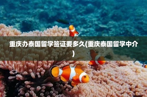 重庆办泰国留学签证要多久(重庆泰国留学中介)