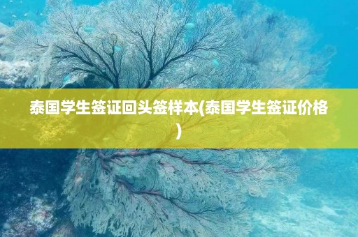 泰国学生签证回头签样本(泰国学生签证价格)