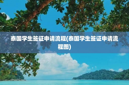 泰国学生签证申请流程(泰国学生签证申请流程图)