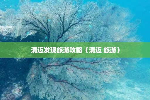 清迈发现旅游攻略（清迈 旅游）