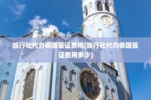 旅行社代办泰国签证费用(旅行社代办泰国签证费用多少)