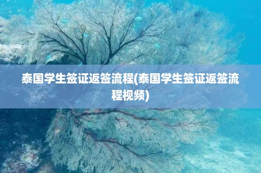 泰国学生签证返签流程(泰国学生签证返签流程视频)