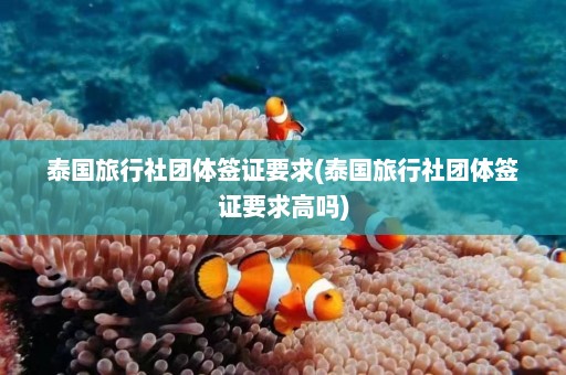 泰国旅行社团体签证要求(泰国旅行社团体签证要求高吗)