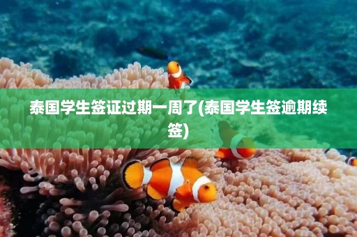 泰国学生签证过期一周了(泰国学生签逾期续签)