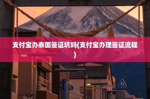 支付宝办泰国签证坑吗(支付宝办理签证流程)