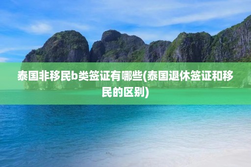 泰国非移民b类签证有哪些(泰国退休签证和移民的区别)