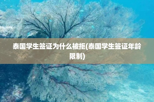 泰国学生签证为什么被拒(泰国学生签证年龄限制)