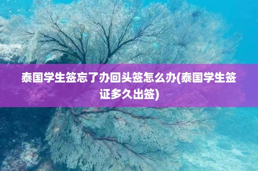 泰国学生签忘了办回头签怎么办(泰国学生签证多久出签)