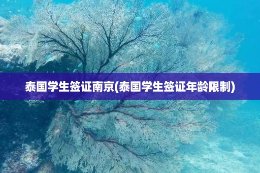 泰国学生签证南京(泰国学生签证年龄限制)