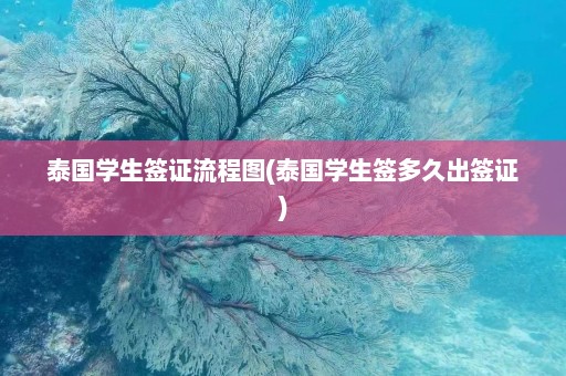 泰国学生签证流程图(泰国学生签多久出签证)