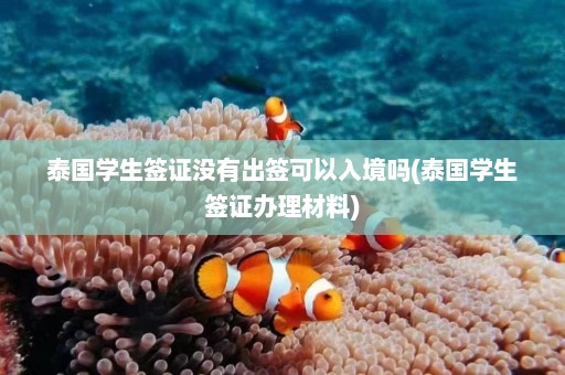 泰国学生签证没有出签可以入境吗(泰国学生签证办理材料)