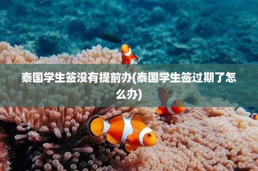 泰国学生签没有提前办(泰国学生签过期了怎么办)