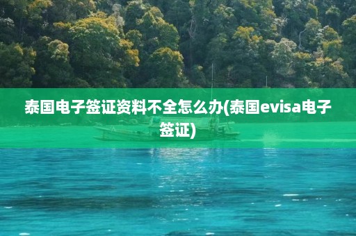 泰国电子签证资料不全怎么办(泰国evisa电子签证)