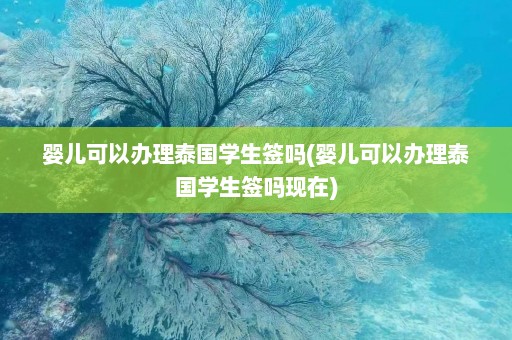 婴儿可以办理泰国学生签吗(婴儿可以办理泰国学生签吗现在)