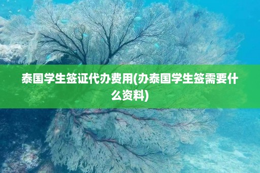 泰国学生签证代办费用(办泰国学生签需要什么资料)