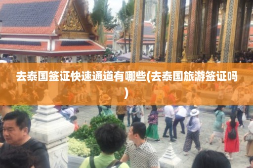 去泰国签证快速通道有哪些(去泰国旅游签证吗)  第1张