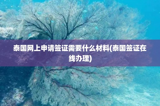 泰国网上申请签证需要什么材料(泰国签证在线办理)