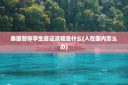 泰国暂停学生签证流程是什么(人在国内怎么办)