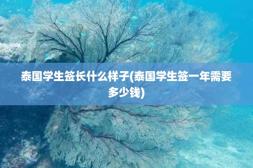 泰国学生签长什么样子(泰国学生签一年需要多少钱)