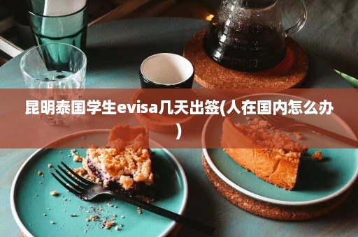 昆明泰国学生evisa几天出签(人在国内怎么办)