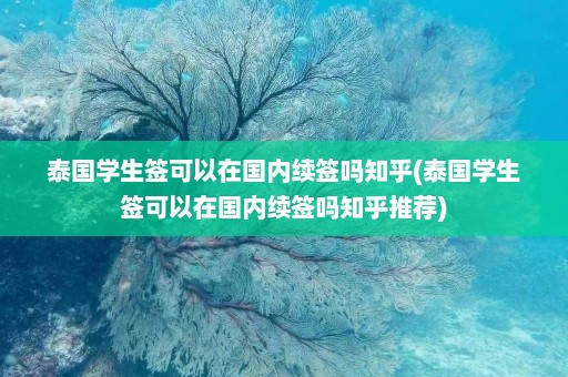 泰国学生签可以在国内续签吗知乎(泰国学生签可以在国内续签吗知乎推荐)  第1张