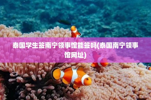 泰国学生签南宁领事馆能签吗(泰国南宁领事馆网址)