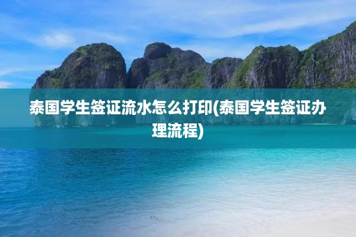 泰国学生签证流水怎么打印(泰国学生签证办理流程)