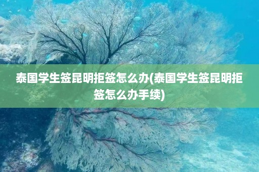 泰国学生签昆明拒签怎么办(泰国学生签昆明拒签怎么办手续)