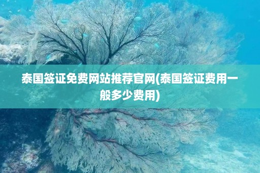 泰国签证免费网站推荐官网(泰国签证费用一般多少费用)