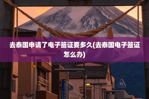 去泰国申请了电子签证要多久(去泰国电子签证怎么办)