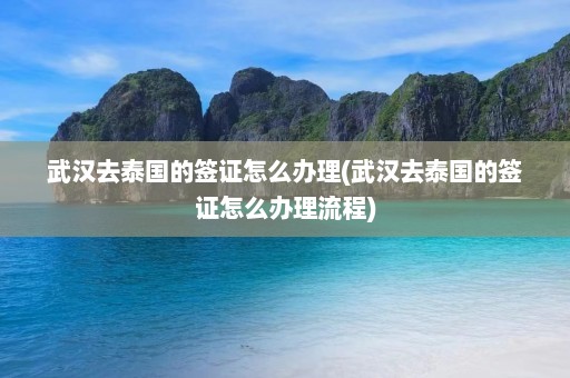 武汉去泰国的签证怎么办理(武汉去泰国的签证怎么办理流程)