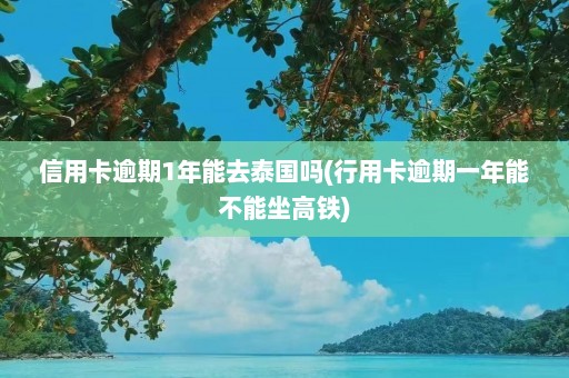 信用卡逾期1年能去泰国吗(行用卡逾期一年能不能坐高铁)