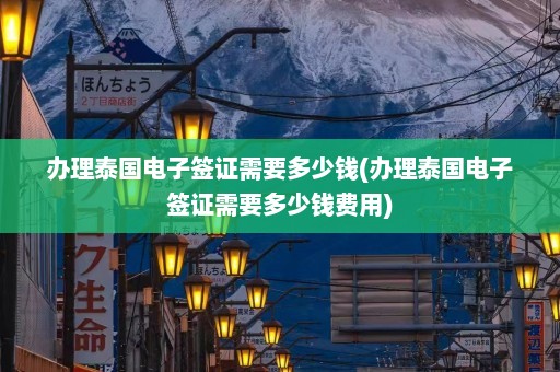 办理泰国电子签证需要多少钱(办理泰国电子签证需要多少钱费用)