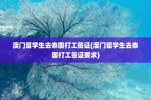 澳门留学生去泰国打工签证(澳门留学生去泰国打工签证要求)