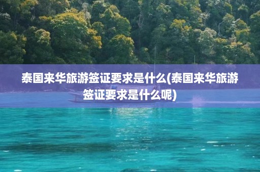 泰国来华旅游签证要求是什么(泰国来华旅游签证要求是什么呢)