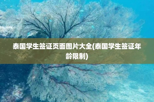 泰国学生签证页面图片大全(泰国学生签证年龄限制)