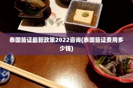 泰国签证最新政策2022咨询(泰国签证费用多少钱)