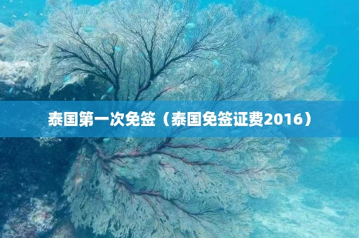 泰国第一次免签（泰国免签证费2016）