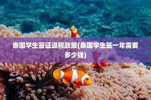 泰国学生签证退税政策(泰国学生签一年需要多少钱)