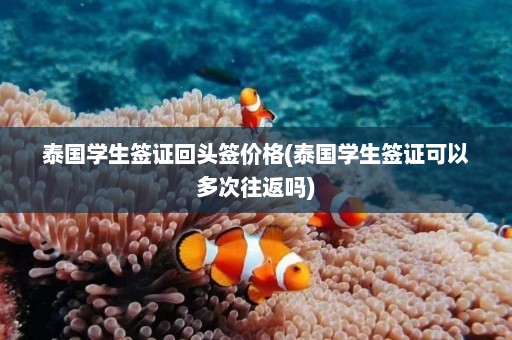 泰国学生签证回头签价格(泰国学生签证可以多次往返吗)