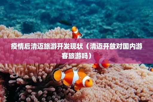 疫情后清迈旅游开发现状（清迈开放对国内游客旅游吗）