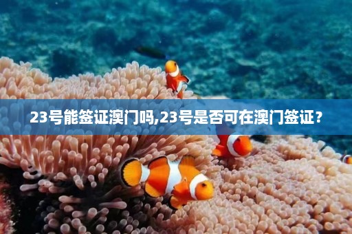 23号能签证澳门吗,23号是否可在澳门签证？