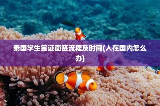 泰国学生签证面签流程及时间(人在国内怎么办)