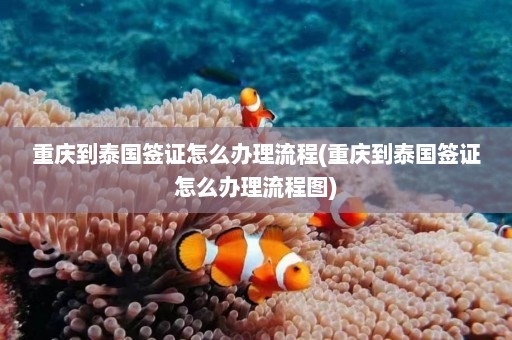 重庆到泰国签证怎么办理流程(重庆到泰国签证怎么办理流程图)