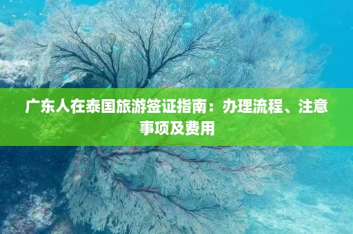 广东人在泰国旅游签证指南：办理流程、注意事项及费用